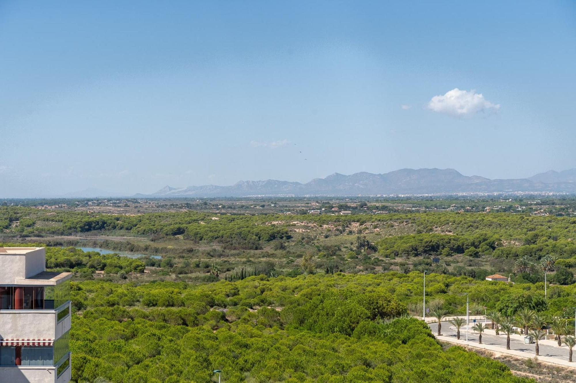 Arenales Bahia Penthouse Apartment Arenales del Sol Exterior photo